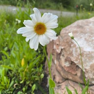 Meet your Posher, Taryn